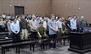 Vụ cựu Thứ trưởng Bộ Nông nghiệp và Phát triển nông thôn: Các bị cáo thừa nhận hành vi