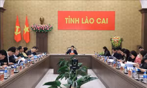 Lào Cai chủ động triển khai công tác bầu cử đại biểu Quốc hội khóa XVI và HĐND các cấp