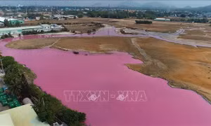 Xử phạt doanh nghiệp xả chất thải không qua xử lý ra môi trường