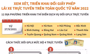 Xem xét, triển khai đổi giấy phép lái xe trực tuyến trên toàn quốc từ năm 2022