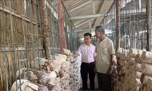 Đối tượng chính sách thoát nghèo nhờ được hỗ trợ vốn ưu đãi ​