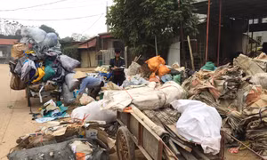 Khẩn trương di dời các điểm thu mua, tập kết phế liệu ra khỏi khu dân cư tập trung