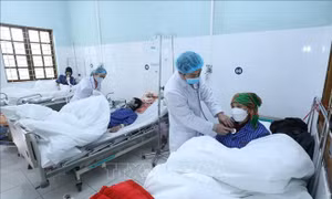 Phòng, chống dịch bệnh mùa Đông Xuân và dịp Tết