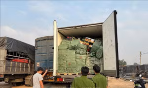 Tạm giữ hơn 28,8 tấn thực phẩm đông lạnh không rõ nguồn gốc