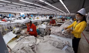 'Sức ì' của doanh nghiệp trong đón bắt EVFTA