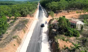 Nhà dân chênh cao 12 mét sau khi hạ cốt nền đường ở Phú Trung, Đồng Nai