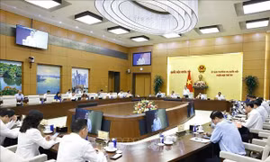 Xây dựng, cập nhật các kịch bản điều hành vĩ mô phù hợp