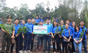 Tuổi trẻ Thông tấn xã Việt Nam năng động, sáng tạo trong hoạt động Đoàn