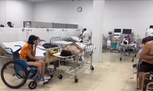 Thăm hỏi, hỗ trợ các nạn nhân vụ tai nạn trên cao tốc Vĩnh Hảo - Phan Thiết