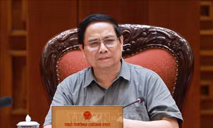 Kiện toàn thành viên Ban Chỉ đạo xây dựng nhà máy điện hạt nhân