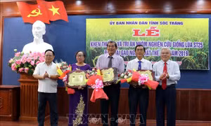Vinh danh nhóm lai tạo giống lúa ST25 ngon nhất thế giới