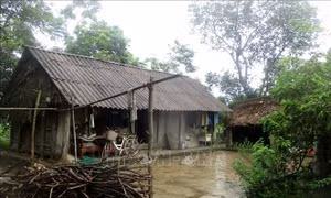 Thanh Hóa: Sớm có phương án di dời các hộ dân ở khu vực có nguy cơ sạt lở 