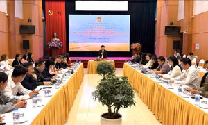 Vận động nông dân tham gia bảo hiểm tự nguyện cần kiên trì, quyết liệt và sáng tạo 