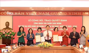 TTXVN công bố sản phẩm chào mừng Đại hội Đảng bộ Chính phủ và Đại hội XIV của Đảng