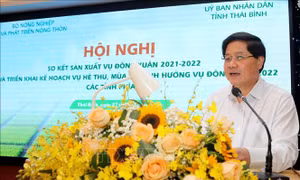Các tỉnh phía Bắc triển khai sản xuất vụ Hè Thu và vụ Mùa