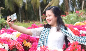 'Vương quốc hoa kiểng' Chợ Lách hấp dẫn du khách dịp cuối năm
