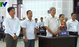 Tuyên phạt vụ làm giả hồ sơ để nhập lậu gỗ trắc hơn 63 tỷ đồng 