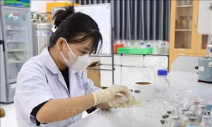 Nghị quyết 57-NQ/TW: Bộ Công Thương bổ sung kế hoạch gỡ điểm nghẽn chuyển đổi số