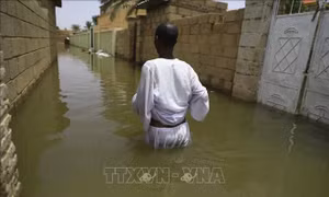 Sudan ban bố tình trạng khẩn cấp do lũ lụt