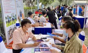 Lao động trẻ và xu hướng mới của thị trường lao động - Bài 2: Lợi thế của lao động trẻ