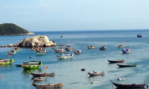  Hành động thực tế để bảo vệ hành tinh xanh
