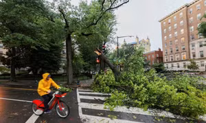 Mỹ đóng cửa các cơ quan chính phủ ở thủ đô Washington để tránh bão