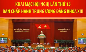 Hội nghị lần thứ 15 Ban Chấp hành Trung ương Đảng khóa XIII