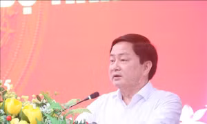 Tối ưu hóa nguồn lực, hình thành mô hình phát triển cân bằng, đa ngành