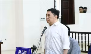Phúc thẩm vụ Bệnh viện Đa khoa Đồng Nai: Cựu Giám đốc Bệnh viện Phan Huy Anh Vũ được đề nghị giảm án