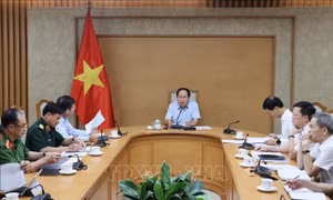 Sửa đổi Luật Đấu giá tài sản phải bảo đảm tính đồng bộ với luật khác có liên quan