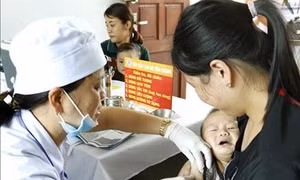 Phân bổ trên 430.000 liều vaccine sởi, ho gà-bạch hầu-uốn ván để tiêm chủng mở rộng cho trẻ em