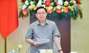 Chủ tịch Quốc hội chủ trì cuộc họp chuẩn bị cho Phiên họp của Ủy ban Thường vụ Quốc hội