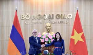 Tham vấn chính trị Việt Nam - Armenia