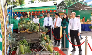 Kết nối tiêu thụ nông sản, mở rộng chuỗi liên kết sản xuất OCOP