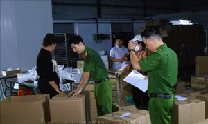 Triệt phá đường dây sản xuất, buôn bán thịt bò giả quy mô lớn