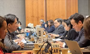 Việt Nam thúc đẩy đồng thuận hướng tới hội nghị Bộ trưởng WTO