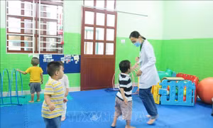 Bổ sung dự toán chi ngân sách trợ giúp người tâm thần, trẻ tự kỷ và người rối nhiễu tâm trí