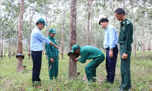 Mang xuân đến với người nghèo ở Tây Nguyên