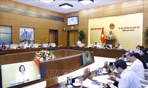 UBTV Quốc hội cho ý kiến về Luật Bầu cử đại biểu Quốc hội và đại biểu Hội đồng nhân dân (sửa đổi)