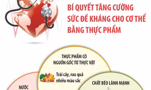 Bí quyết tăng cường sức đề kháng cho cơ thể bằng thực phẩm