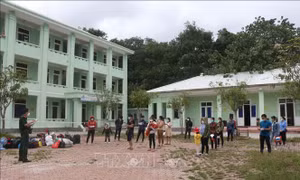Nghệ An: Ngăn ngừa, không để dịch COVID-19 lây lan từ những người về từ vùng dịch