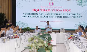 Tìm cách tiếp cận mới đưa 'giấc mơ sen' Đồng Tháp vươn xa