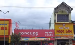 Mượn đất công cho thuê kinh doanh ở Kon Tum: Lỗi do… báo cáo nhầm