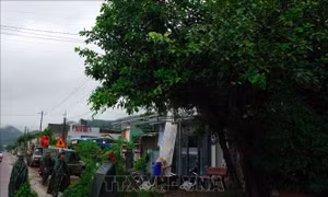 Lực lượng quân đội tích cực giúp dân phòng, chống bão số 13