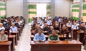 Xây dựng phương án chống dịch COVID-19 trong thời gian bầu cử