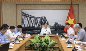 Phó Thủ tướng Hồ Quốc Dũng: Rà soát, quản lý diện tích, phát triển ngành hàng sầu riêng bền vững
