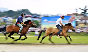 Ra mắt Câu lạc bộ Cưỡi ngựa Olympic tại tỉnh Lâm Đồng