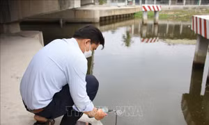 TP Hồ Chí Minh và các tỉnh miền Tây lên phương án phòng, chống hạn mặn