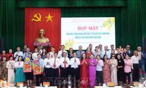 Kiều bào và các tổ chức phi chính phủ đóng góp tích cực cho phát triển kinh tế - xã hội 
