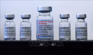 Canada cấp phép sử dụng vaccine của Pfizer/BioNTech làm mũi tăng cường cho trẻ 